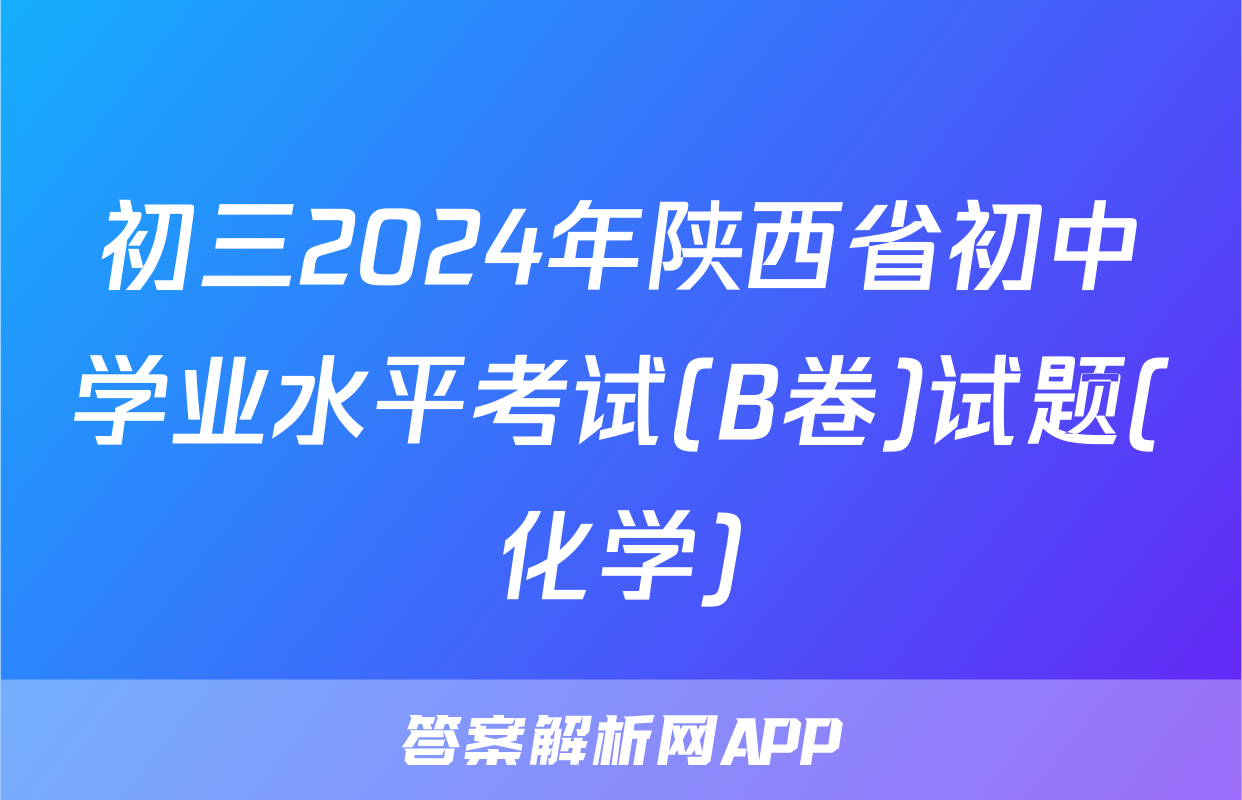 初三2024年陕西省初中学业水平考试(B卷)试题(化学)