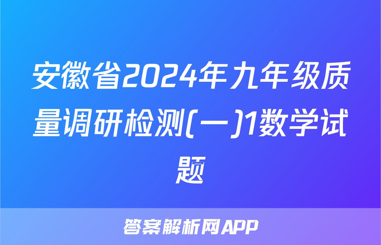 安徽省2024年九年级质量调研检测(一)1数学试题