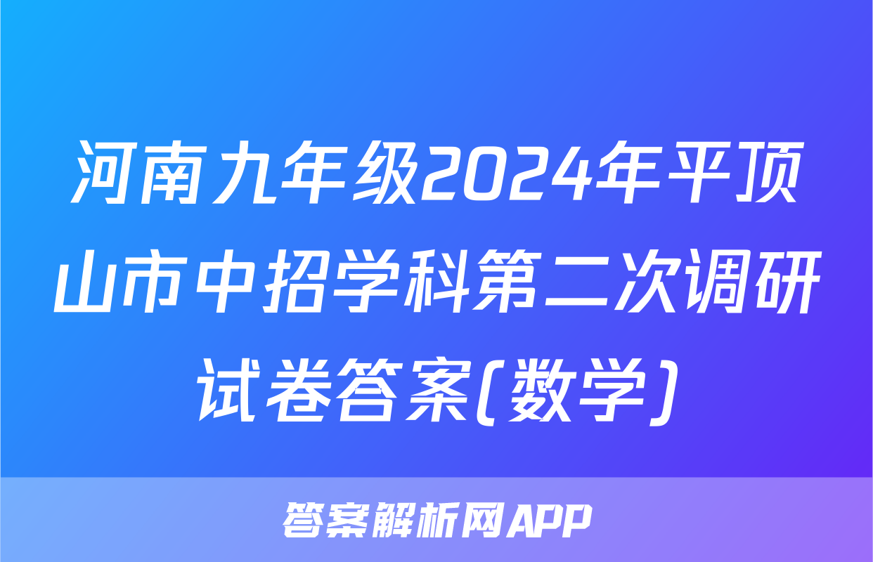 河南九年级2024年平顶山市中招学科第二次调研试卷答案(数学)