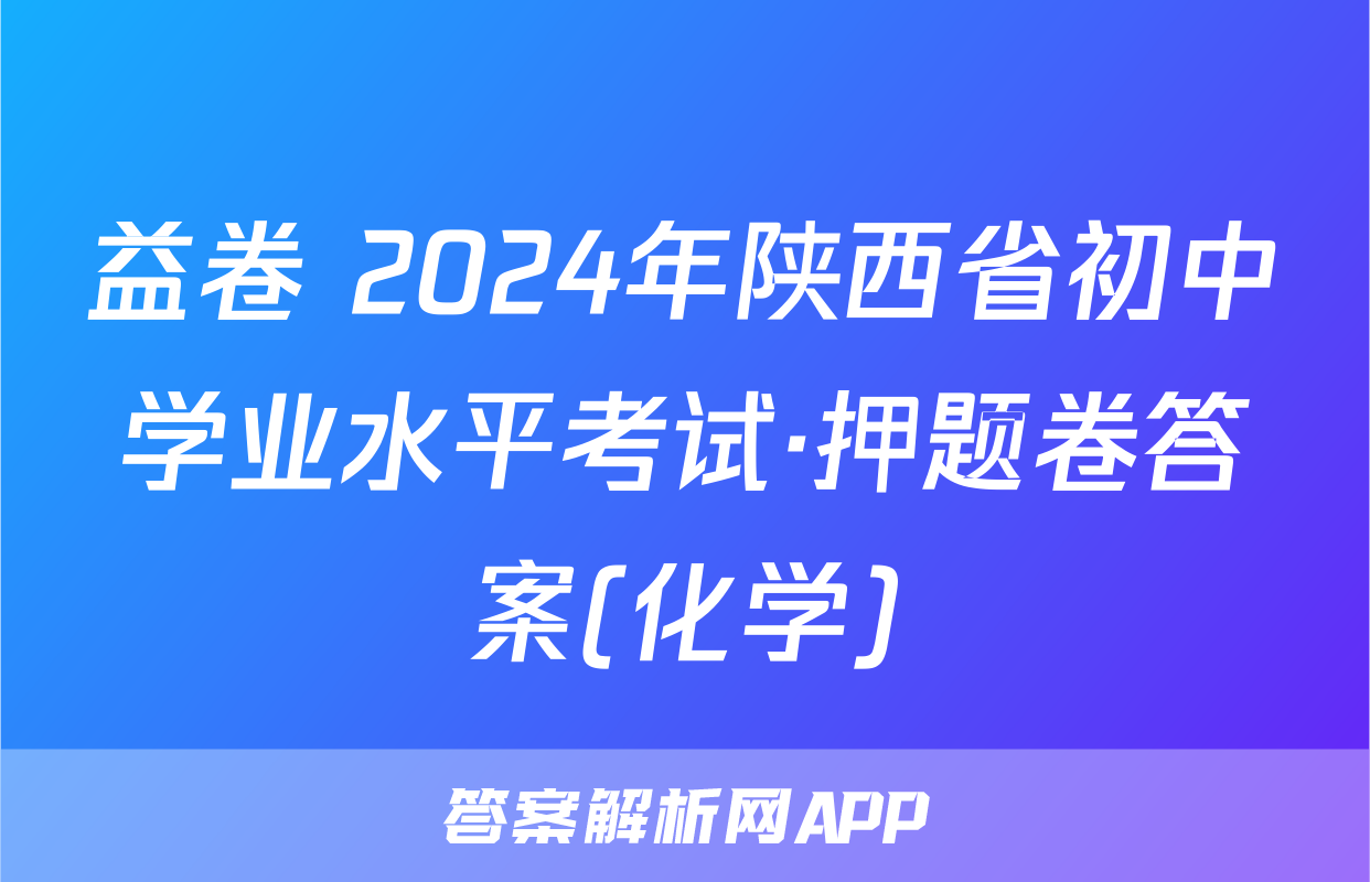 益卷 2024年陕西省初中学业水平考试·押题卷答案(化学)