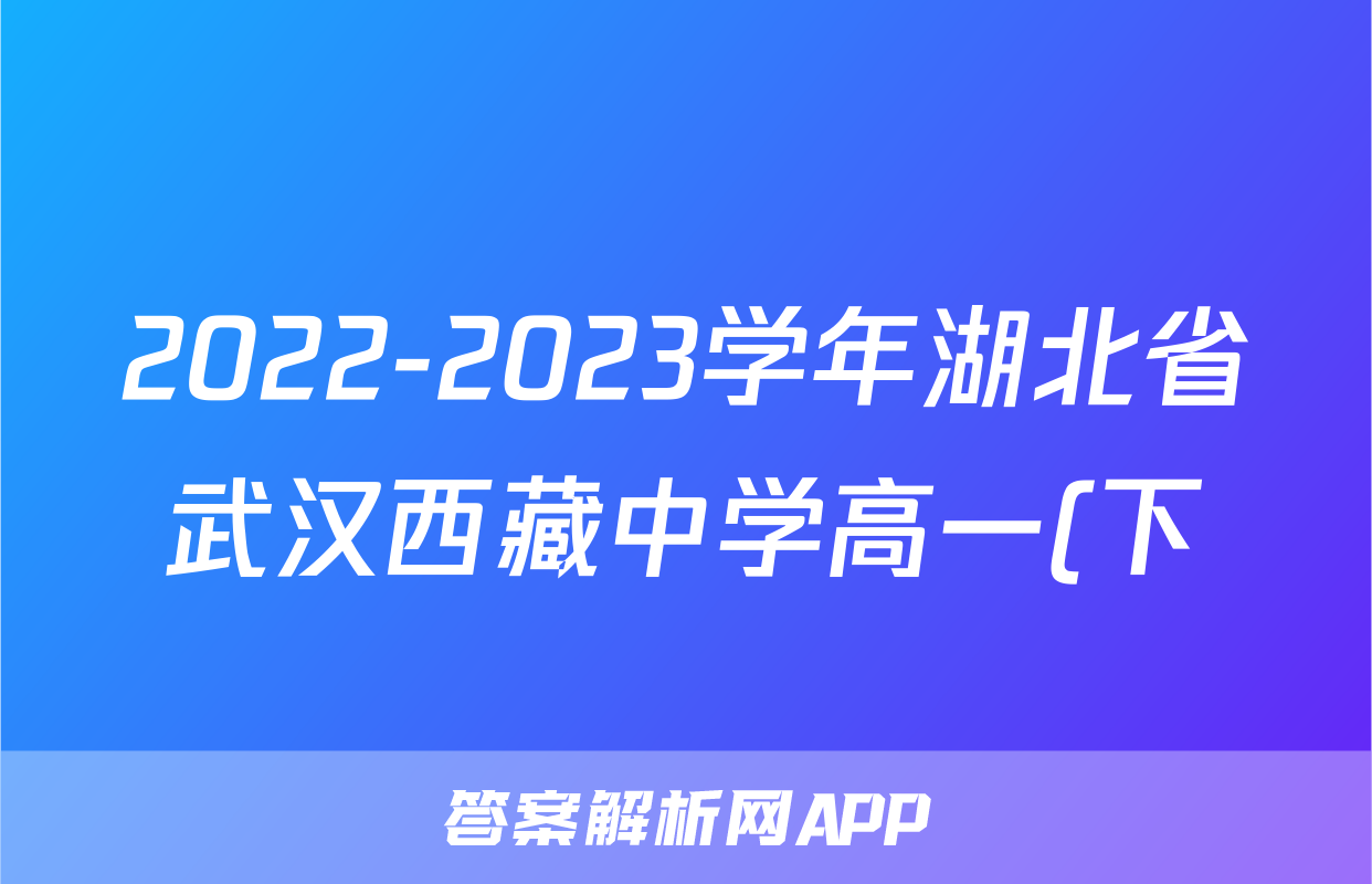 2022-2023学年湖北省武汉西藏中学高一(下)期末化学试卷