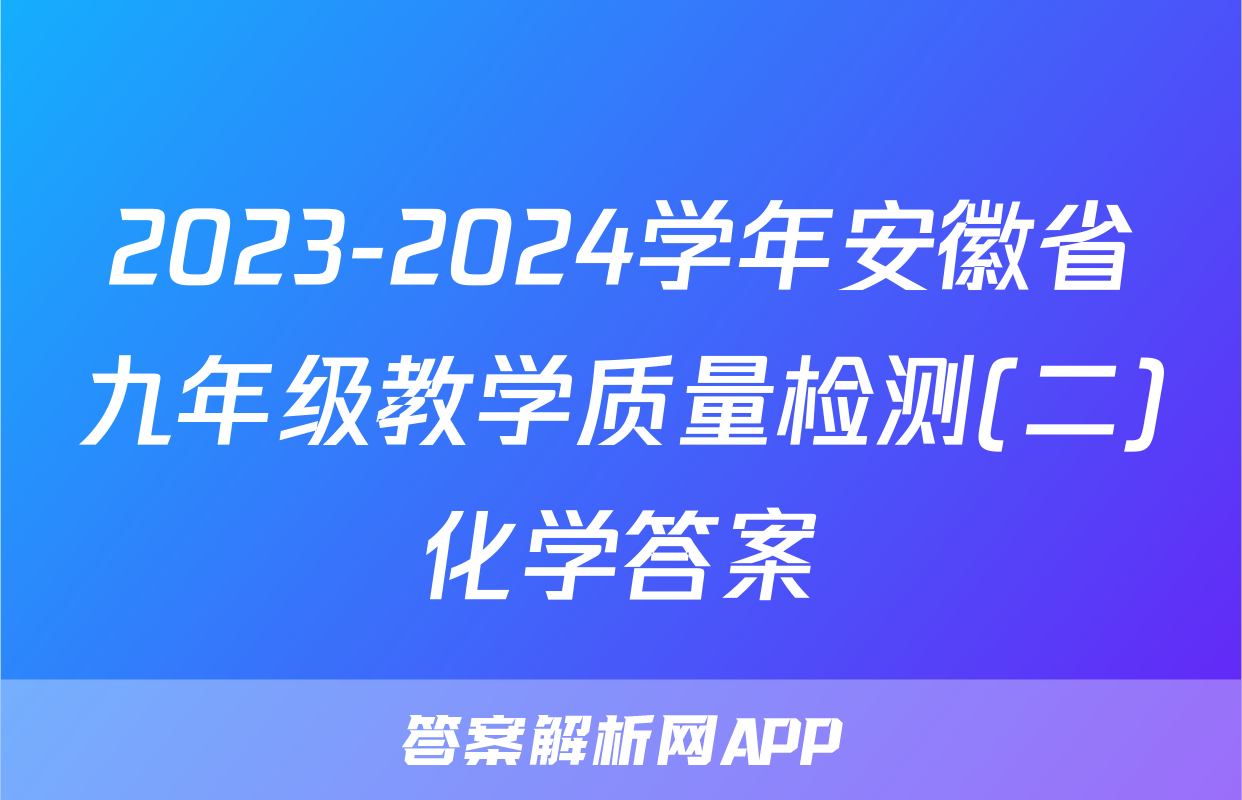 2023-2024学年安徽省九年级教学质量检测(二)化学答案