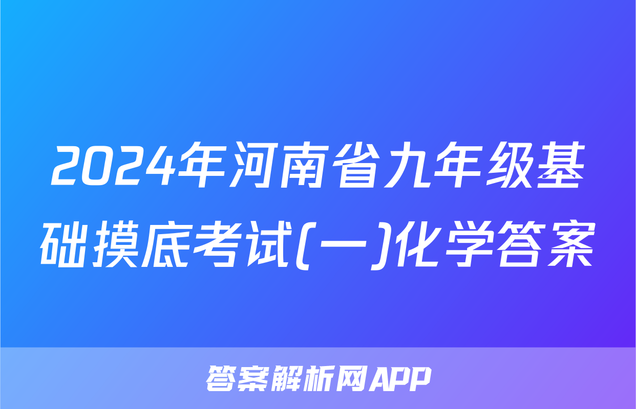 2024年河南省九年级基础摸底考试(一)化学答案