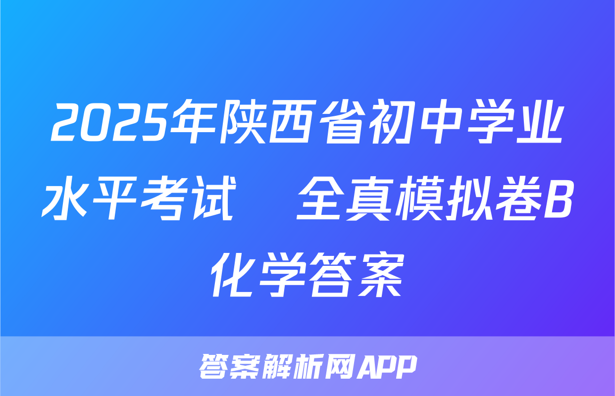 2025年陕西省初中学业水平考试•全真模拟卷B化学答案