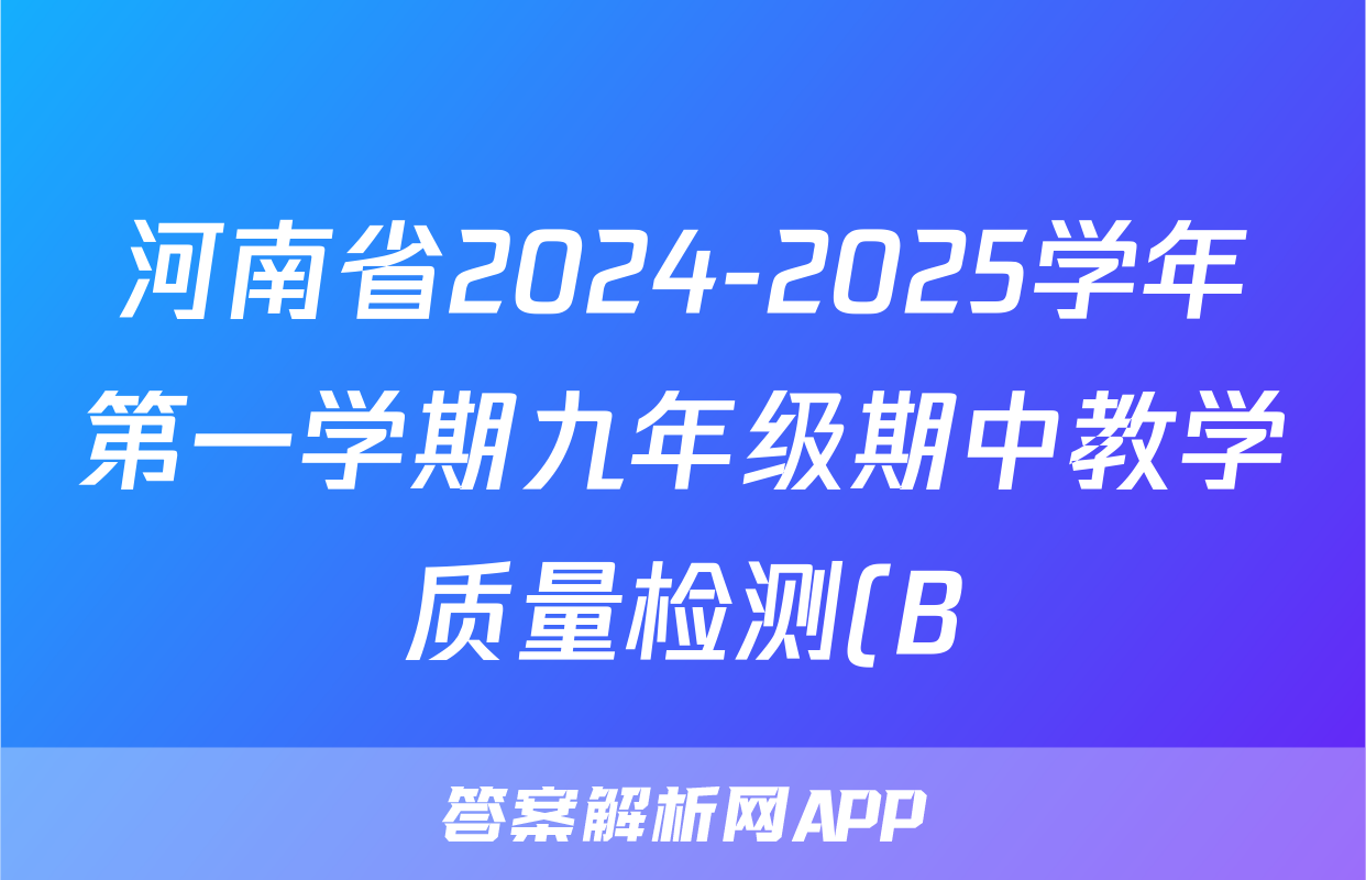 河南省2024-2025学年第一学期九年级期中教学质量检测(B)化学答案