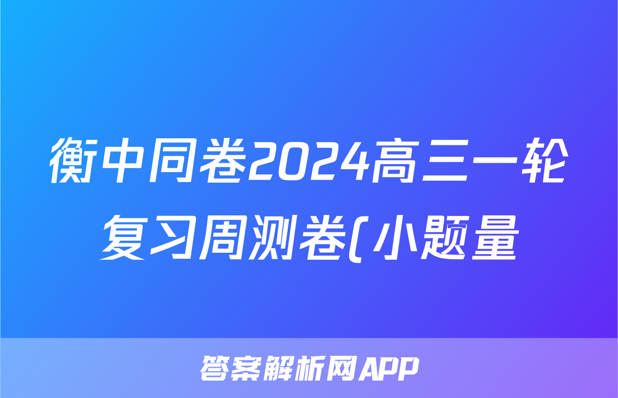 衡中同卷2024高三一轮复习周测卷(小题量) 全国版十一数学试题