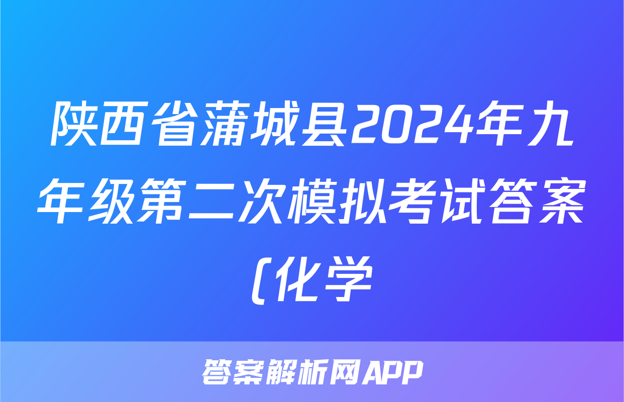 陕西省蒲城县2024年九年级第二次模拟考试答案(化学)