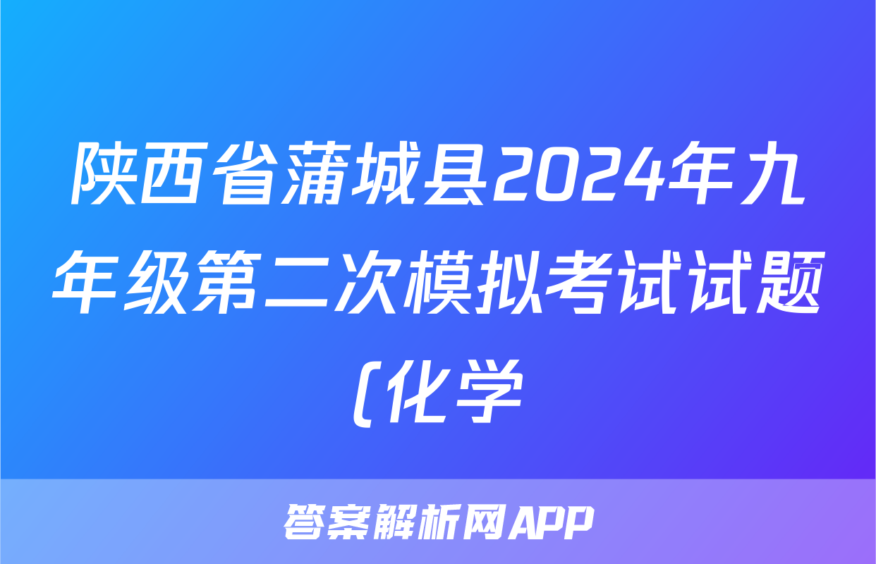 陕西省蒲城县2024年九年级第二次模拟考试试题(化学)