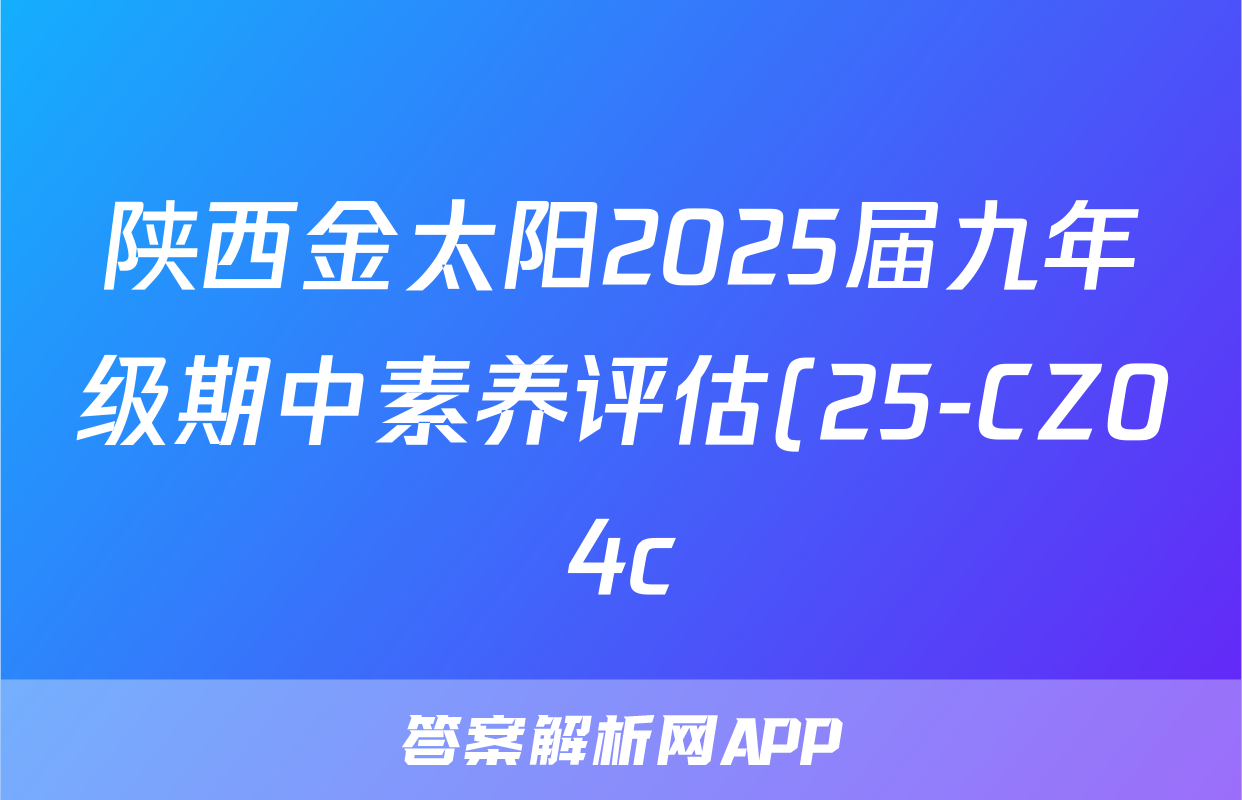 陕西金太阳2025届九年级期中素养评估(25-CZ04c)物理试题